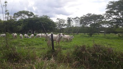 Terreno / Lote / Condomínio à venda, 20000m² no Zona Rural, Araçaí - Foto 1