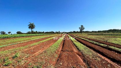 Fazenda / Sítio / Chácara com 6 Quartos à venda, 1200m² no RANCHO TRÊS LAGOAS, Igarapé - Foto 1