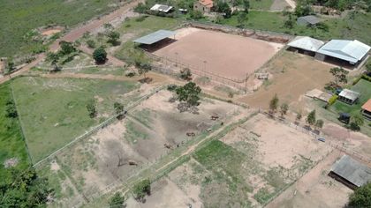 Fazenda / Sítio / Chácara com 3 Quartos à venda, 450000m² no Centro, Formosa - Foto 1