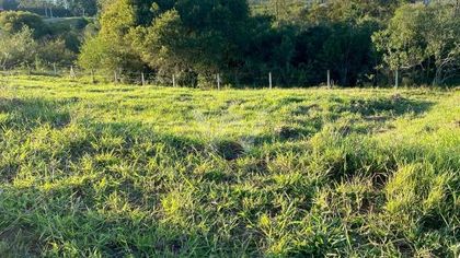 Terreno / Lote / Condomínio à venda, 300m² no Quatro Colonias, Campo Bom - Foto 1