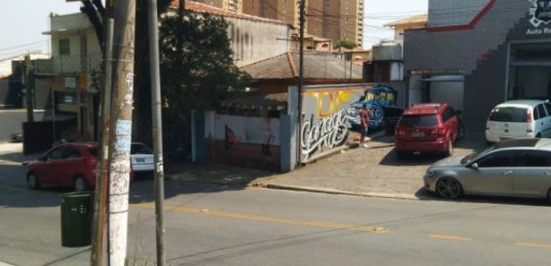 Caobelereiro  São Paulo SP