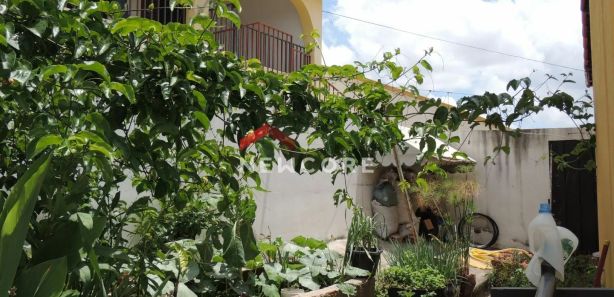 Casas à venda na Rua Laura Ignácio Pontes em Belo Horizonte, MG - ZAP  Imóveis