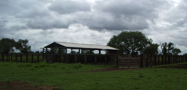 20º LEILÃO CABECEIRA DO ARAGUAIA - Central Leil�es