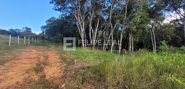 Imóveis à venda em Calemba, Santo Amaro da Imperatriz, SC - ZAP Imóveis