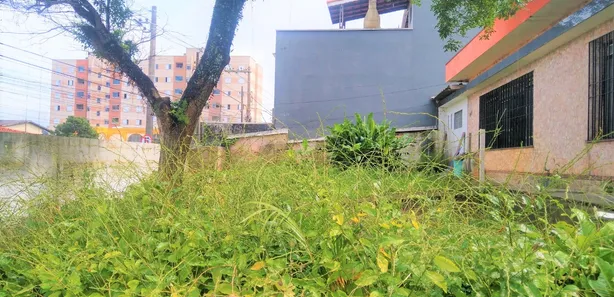 Casas com jardim à venda em Vila Urupês, Suzano, SP - ZAP Imóveis