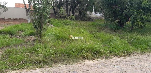 Apartamentos, Casas, Salas e Terrenos para venda em Viamão