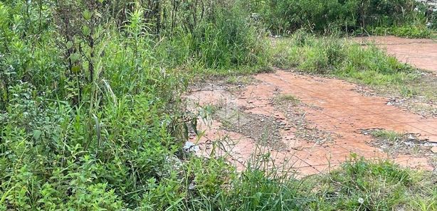 Terreno à venda no bairro Pio X em Caxias do Sul/RS