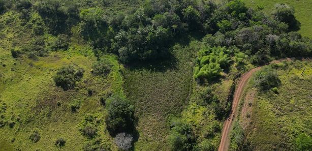 Castelo em fazenda de 40 acres com estábulo e pasto para gado está à venda  por mais de R$ 14 milhões nos EUA, Imóveis