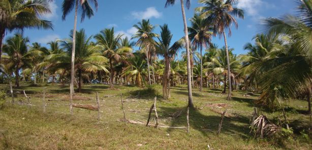 HOTEL POUSADA TEXAS ITARIRI (Brasil) - de R$ 142