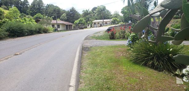 Lojas, Salões e Pontos Comerciais para alugar em Bento Gonçalves, RS - ZAP  Imóveis