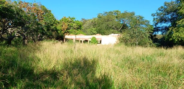 Imóveis à venda em Area Rural de Brazlandia, Brasília, DF - ZAP Imóveis