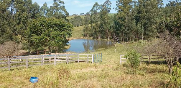 Fazendas, Sítios e Chácaras à venda - Minas Gerais | ZAP Imóveis