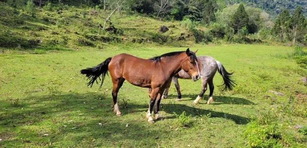 Mustang Beach - Centro de Esportes e Lazer