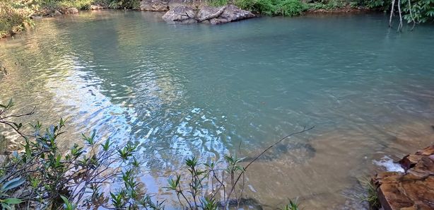 Imóveis à venda em Area Rural de Brazlandia, Brasília, DF - ZAP Imóveis