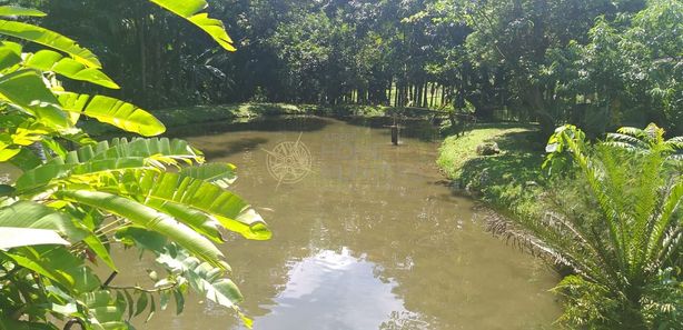 Chácara à venda no bairro Duas Mamas em Schroeder/SC