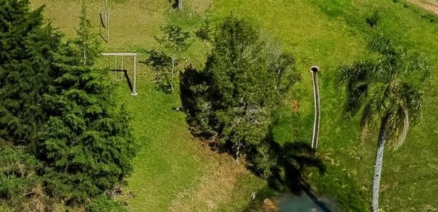 Cavalo - Fazenda Angélica, Fazenda Angélica Mata Negra Dist…