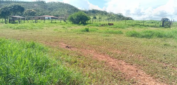 Imóveis à venda em Area Rural de Brazlandia, Brasília, DF - ZAP Imóveis