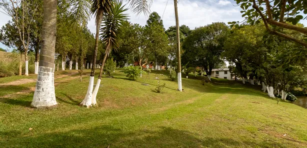 Fazenda / Sítio / Chácara com 2 Quartos à venda, 20880m² no Borda do Campo, São José dos Pinhais