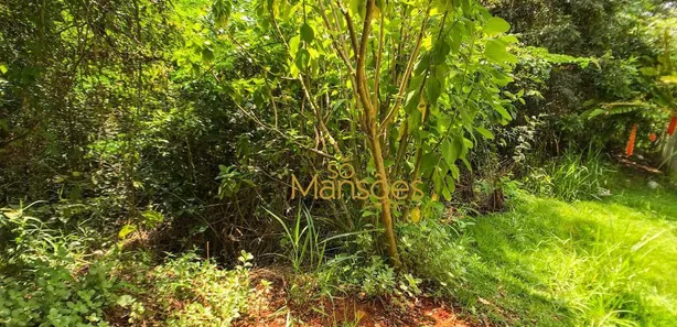 Terreno / Lote / Condomínio à venda, 1000m² no Vila Alpina, Nova Lima