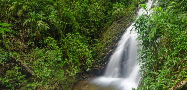 Fazenda / Sítio / Chácara com 3 Quartos à venda, 80000m² no Visconde de Mauá, Resende
