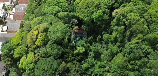 Terreno / Lote / Condomínio à venda, 6501m² no Castelanea, Petrópolis