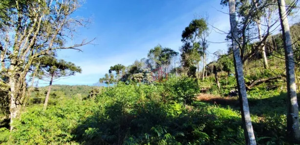 Fazenda / Sítio / Chácara à venda, 30000m² no , Santa Maria do Herval