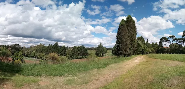 Fazenda / Sítio / Chácara à venda, 65000m² no Zacarias, São José dos Pinhais