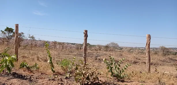 Fazenda / Sítio / Chácara com 4 Quartos à venda, 21000m² no Parque da Barragem Setor 13, Águas Lindas de Goiás