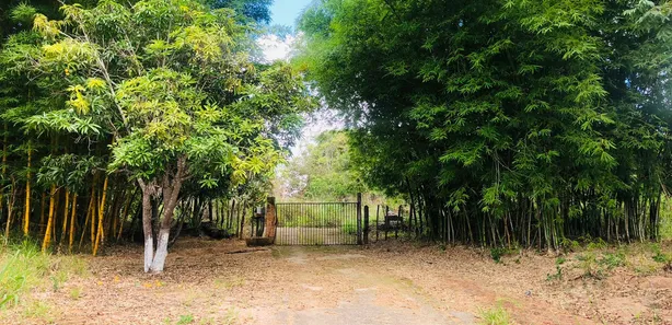 Fazenda / Sítio / Chácara com 6 Quartos à venda, 50000m² no Arapoanga, Brasília