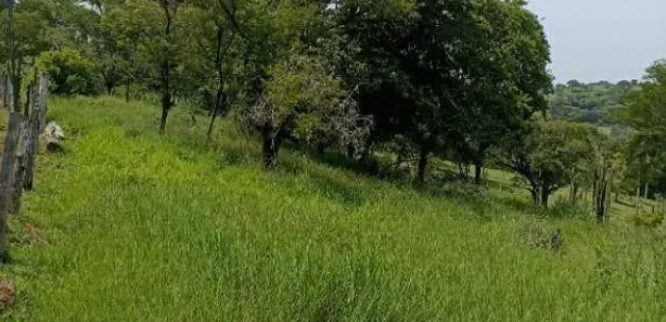 Fazenda / Sítio / Chácara à venda, 302500m² no , Assaí