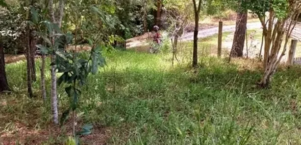 Terreno / Lote / Condomínio com 1 Quarto à venda, 2414m² no , Balsa Nova