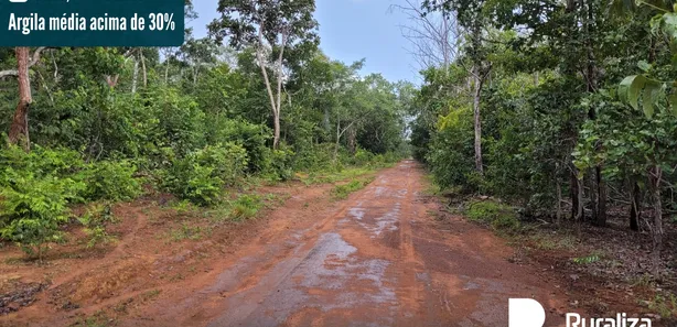 Fazenda / Sítio / Chácara à venda, 1243m² no , Divinópolis do Tocantins