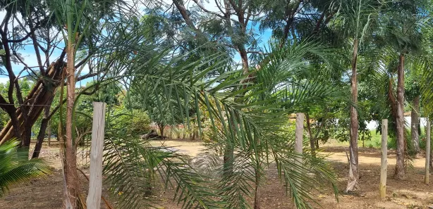 Terreno / Lote / Condomínio à venda, 1024m² no Abadiânia, Abadiânia