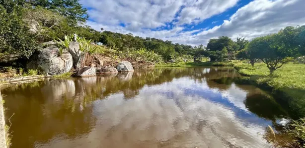 Fazenda / Sítio / Chácara com 6 Quartos à venda, 42000m² no Serra Negra, Bezerros