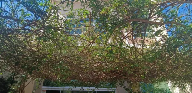 Conjunto Comercial / Sala à venda, 160m² no Jardim Campos Verdes, Hortolândia