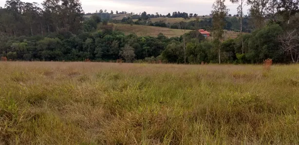 Fazenda / Sítio / Chácara com 3 Quartos à venda, 70m² no , Pilar do Sul