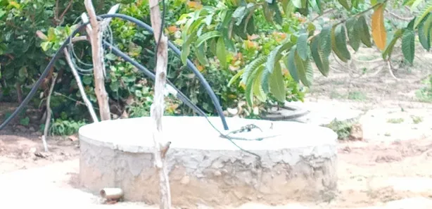 Fazenda / Sítio / Chácara com 3 Quartos à venda, 50m² no , Vera Cruz