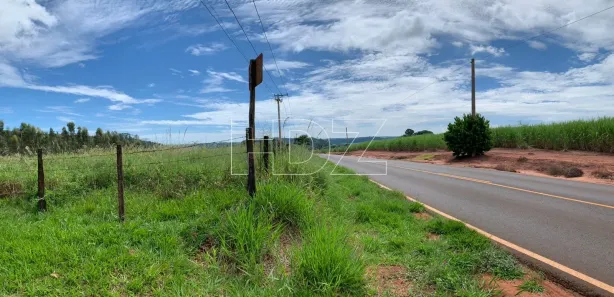 Fazenda / Sítio / Chácara com 5 Quartos à venda, 120m² no Machados, Araraquara