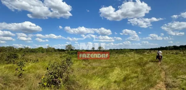 Fazenda / Sítio / Chácara à venda, 500m² no , Pium
