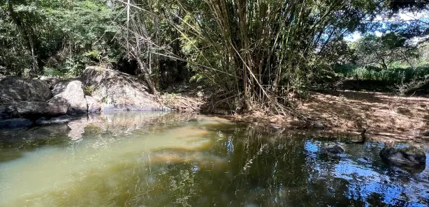 Fazenda / Sítio / Chácara com 5 Quartos à venda, 204m² no , Pacoti