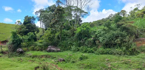 Terreno / Lote / Condomínio à venda, 11000m² no , Águas Mornas