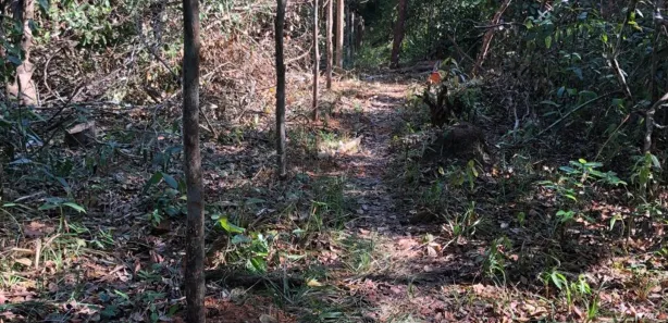 Fazenda / Sítio / Chácara à venda, 700000m² no Centro, Candeias