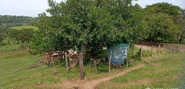Fazenda / Sítio / Chácara à venda, 302500m² no , Assaí