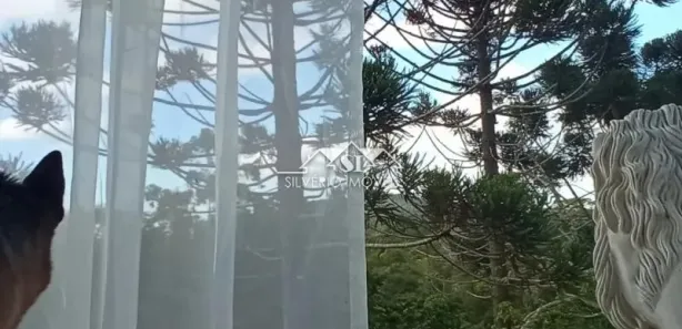 Fazenda / Sítio / Chácara com 4 Quartos à venda, 390m² no Araras, Petrópolis