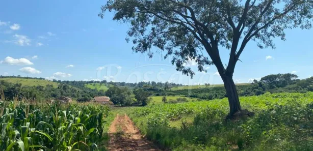 Fazenda / Sítio / Chácara à venda, 1m² no Gleba Destacada da Fazenda Santa Cruz, Jaguariúna