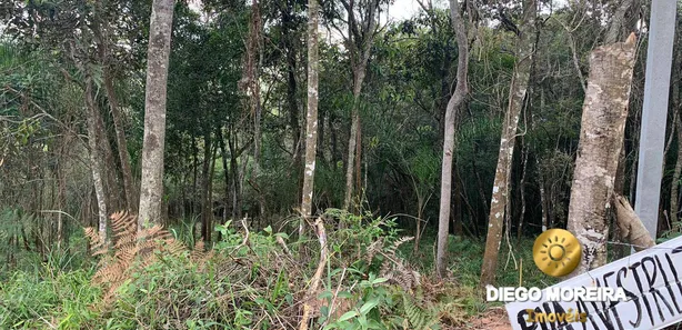 Terreno / Lote / Condomínio à venda, 1200m² no Mato Dentro, Mairiporã