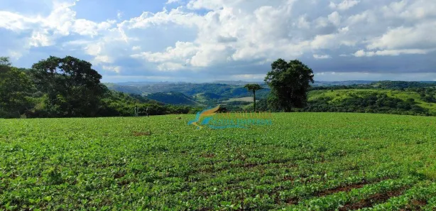 Fazenda / Sítio / Chácara à venda, 219000m² no , Catanduvas