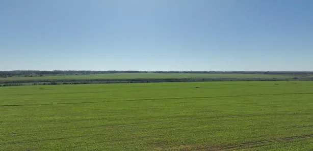Fazenda / Sítio / Chácara com 5 Quartos à venda, 577m² no Campos do Iguaçu, Foz do Iguaçu