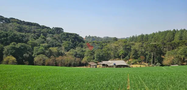 Fazenda / Sítio / Chácara com 1 Quarto à venda, 20000m² no Capela Velha, Araucária