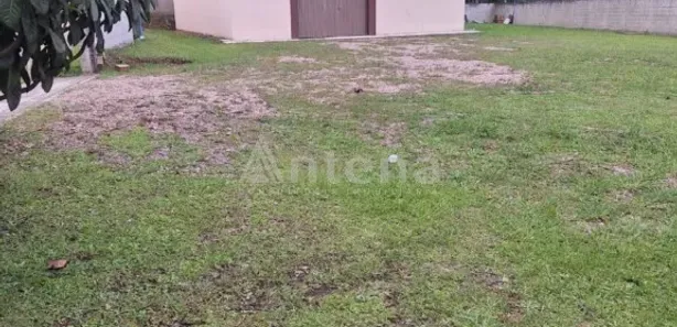 Galpão / Depósito / Armazém à venda, 250m² no Contenda, São José dos Pinhais